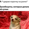КлвнКюша