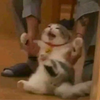 qexakuthxe