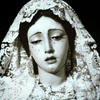 sienaa ll