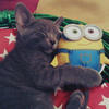 u_horoshka