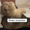 Эван Вифлиемский