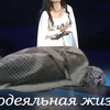 любимый котик панка