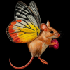 Ritafoxie