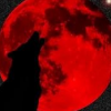 The Blody Wolf