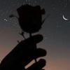 Anastaysha_A