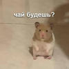 Pasochka6