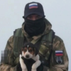 Автор поменял ник на этот