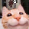 maatie baal