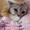 crenkiss