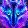 SpaceWolfor
