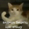 БЛУМ_Фея.номер 1