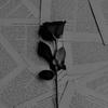 R.O.S.E_H.I.P