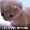 Кёко_топ