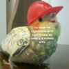 Vorobey_Nah000