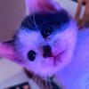 Wwalinaww